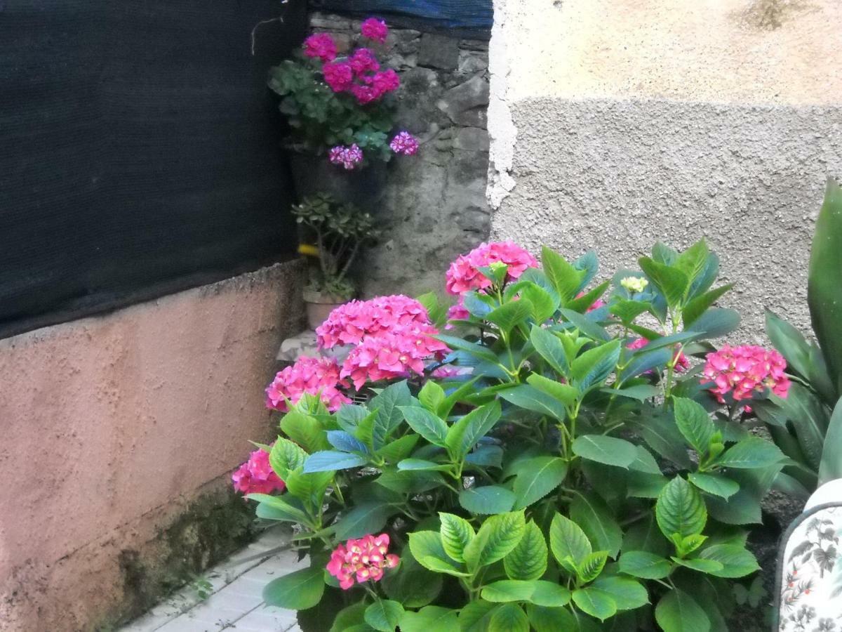 Stella Marina Delle 5 Terre Apartment